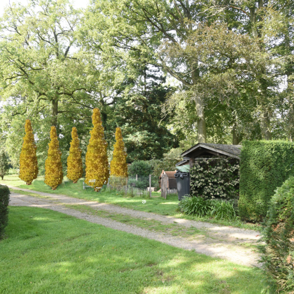 DSC 9388 | Geneviève Errembault, Architecte paysagiste à Bruxelles
