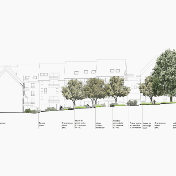 Douaire profil elevation AA pour Colo A3 250 2018 07 24 1 1 | Geneviève Errembault, Architecte paysagiste à Bruxelles