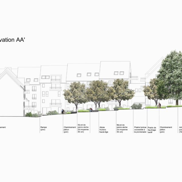 Douaire profil elevation AA pour Colo A3 250 2018 07 24 1 scaled 2 | Geneviève Errembault, Architecte paysagiste à Bruxelles