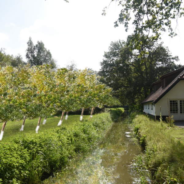 moestuin | Geneviève Errembault, Architecte paysagiste à Bruxelles