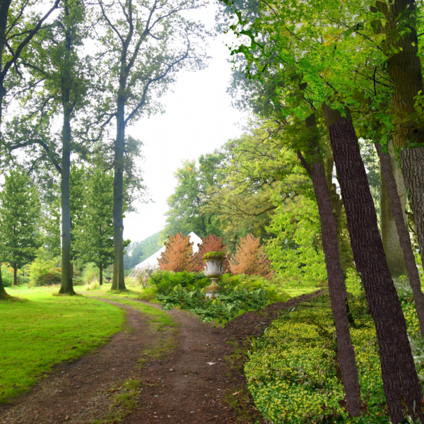 urne et fougeres | Geneviève Errembault, Architecte paysagiste à Bruxelles